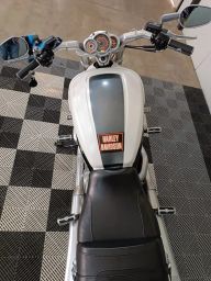 https://img.olx.com.br/thumbs256x256/39/397616392108053.jpg