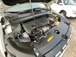 https://img.olx.com.br/thumbs256x256/39/398521629261378.jpg
