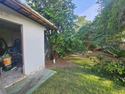 https://img.olx.com.br/thumbs256x256/39/398540648867983.jpg