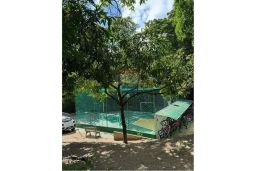 https://img.olx.com.br/thumbs256x256/39/398569048659326.jpg