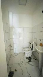 https://img.olx.com.br/thumbs256x256/39/398572883253176.jpg