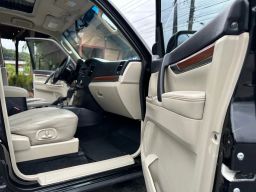 https://img.olx.com.br/thumbs256x256/39/399517739822881.jpg