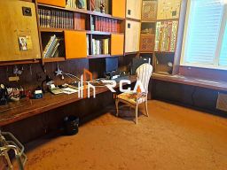 https://img.olx.com.br/thumbs256x256/39/399534286984658.jpg
