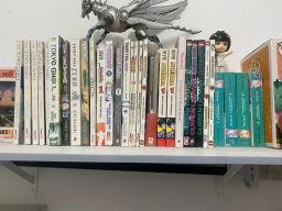 https://img.olx.com.br/thumbs256x256/39/399536030974176.jpg