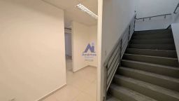 https://img.olx.com.br/thumbs256x256/39/399549160631465.jpg