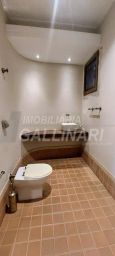 https://img.olx.com.br/thumbs256x256/39/399561280957683.jpg