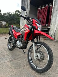 https://img.olx.com.br/thumbs256x256/39/399682323371501.jpg
