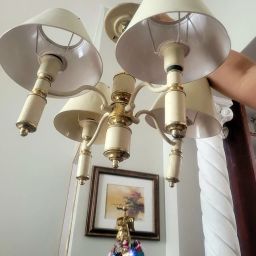 https://img.olx.com.br/thumbs256x256/40/400443831103071.jpg