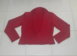 https://img.olx.com.br/thumbs256x256/40/400538618984175.jpg