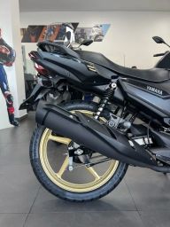 https://img.olx.com.br/thumbs256x256/40/400543736109139.jpg