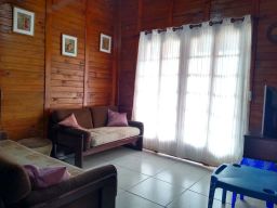 https://img.olx.com.br/thumbs256x256/40/401507275243937.jpg