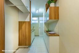 https://img.olx.com.br/thumbs256x256/40/401563885476918.jpg