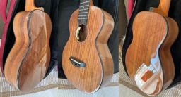 https://img.olx.com.br/thumbs256x256/40/401579146333793.jpg