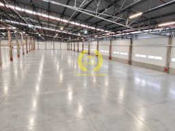 https://img.olx.com.br/thumbs256x256/40/401603446226765.jpg