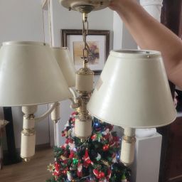 https://img.olx.com.br/thumbs256x256/40/402480470712896.jpg