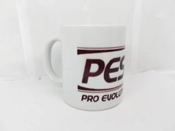 https://img.olx.com.br/thumbs256x256/40/402523498070648.jpg