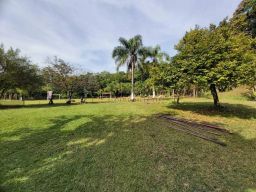 https://img.olx.com.br/thumbs256x256/40/402565162155001.jpg
