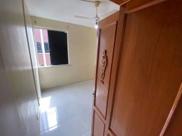 https://img.olx.com.br/thumbs256x256/40/402591400530631.jpg