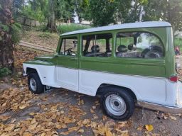 https://img.olx.com.br/thumbs256x256/40/402596036634165.jpg