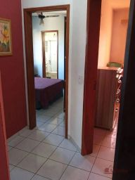 https://img.olx.com.br/thumbs256x256/40/403567882502006.jpg