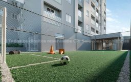 https://img.olx.com.br/thumbs256x256/40/403569040994558.jpg