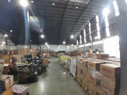 https://img.olx.com.br/thumbs256x256/40/405579633908820.jpg