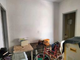 https://img.olx.com.br/thumbs256x256/40/405592280827555.jpg