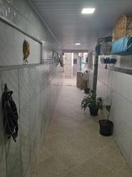 https://img.olx.com.br/thumbs256x256/40/405665562819099.jpg