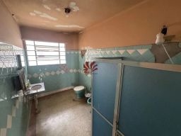 https://img.olx.com.br/thumbs256x256/40/406518529090678.jpg