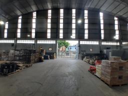 https://img.olx.com.br/thumbs256x256/40/406554275954011.jpg