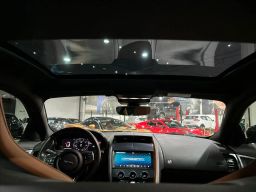 https://img.olx.com.br/thumbs256x256/40/406554518089513.jpg