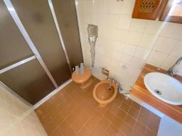 https://img.olx.com.br/thumbs256x256/40/406566046716743.jpg