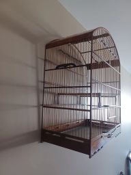 https://img.olx.com.br/thumbs256x256/40/406566286552117.jpg