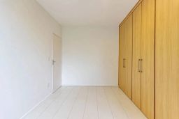 https://img.olx.com.br/thumbs256x256/40/407525044283381.jpg