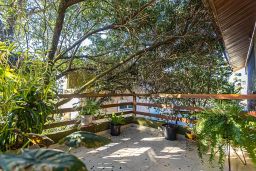 https://img.olx.com.br/thumbs256x256/40/407606448058925.jpg