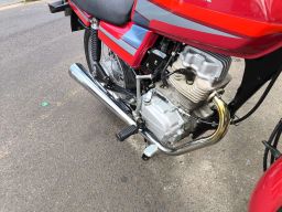 https://img.olx.com.br/thumbs256x256/40/407698285912565.jpg