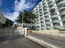 https://img.olx.com.br/thumbs256x256/40/408513646610522.jpg