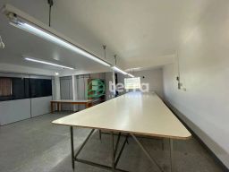 https://img.olx.com.br/thumbs256x256/40/408559882758898.jpg
