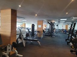 https://img.olx.com.br/thumbs256x256/40/408565760585499.jpg