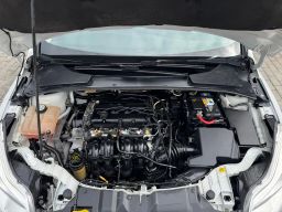 https://img.olx.com.br/thumbs256x256/40/408585512330081.jpg