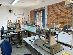 https://img.olx.com.br/thumbs256x256/40/409531169946203.jpg