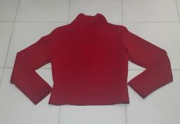 https://img.olx.com.br/thumbs256x256/40/409536137684765.jpg