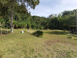 https://img.olx.com.br/thumbs256x256/40/409544161218980.jpg