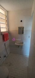 https://img.olx.com.br/thumbs256x256/40/409579880620728.jpg