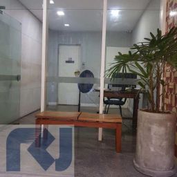 https://img.olx.com.br/thumbs256x256/40/409604153788795.jpg