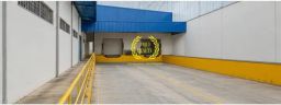 https://img.olx.com.br/thumbs256x256/40/409641088300254.jpg