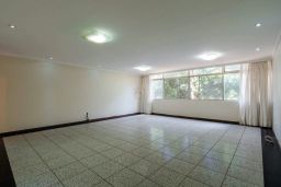 https://img.olx.com.br/thumbs256x256/41/410569049577636.jpg