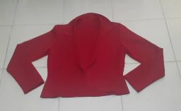 https://img.olx.com.br/thumbs256x256/41/410588493518262.jpg