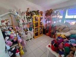 https://img.olx.com.br/thumbs256x256/41/411522163714036.jpg
