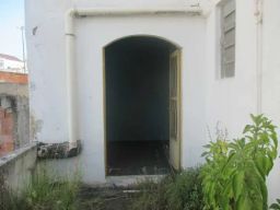 https://img.olx.com.br/thumbs256x256/41/411578509623831.jpg